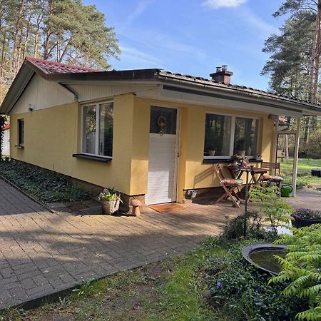 Ferienhaus Im Wald Borkwalde Екстериор снимка