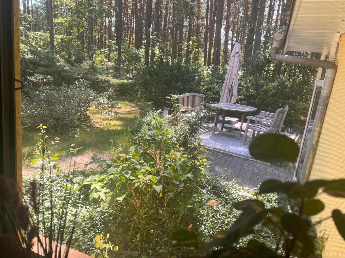 Ferienhaus Im Wald Borkwalde Екстериор снимка